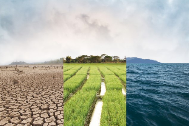 A photo montage of dry and cracked soil on the left, a green field in the middle, and ocean waves on the right 